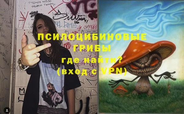 ECSTASY Балахна